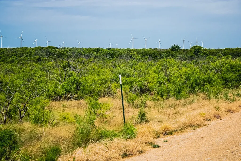 372 Buffalo Crest Trail Henrietta TX 77575
