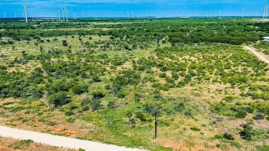 372 Buffalo Crest Trail Henrietta TX 77575