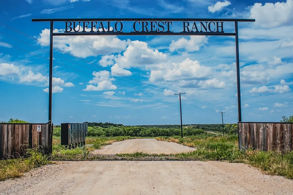 372 Buffalo Crest Trail Henrietta TX 77575