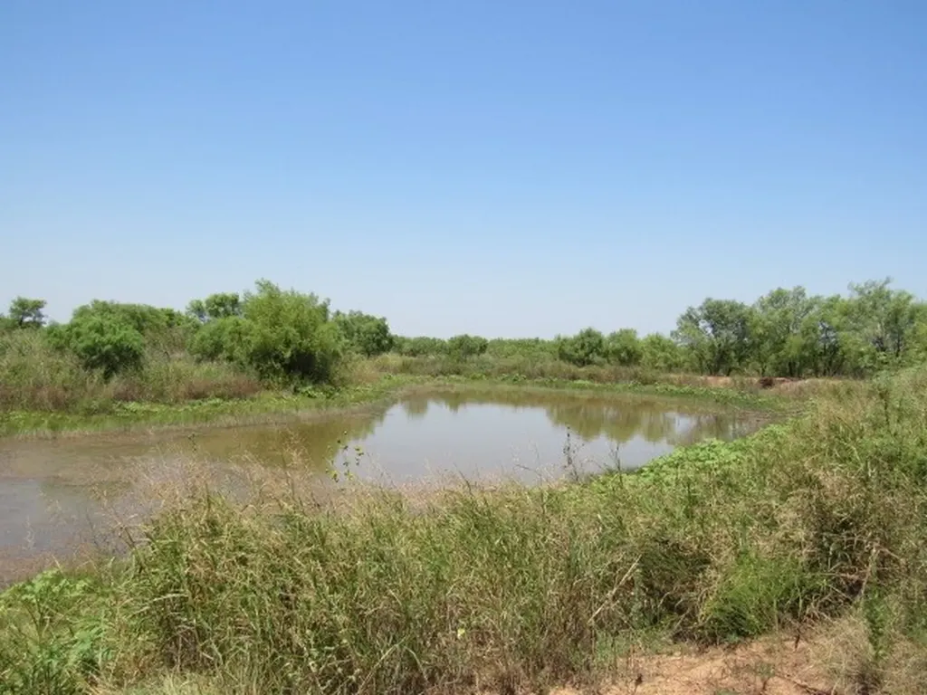 Tbd County Road 211 Brookesmith TX 76827