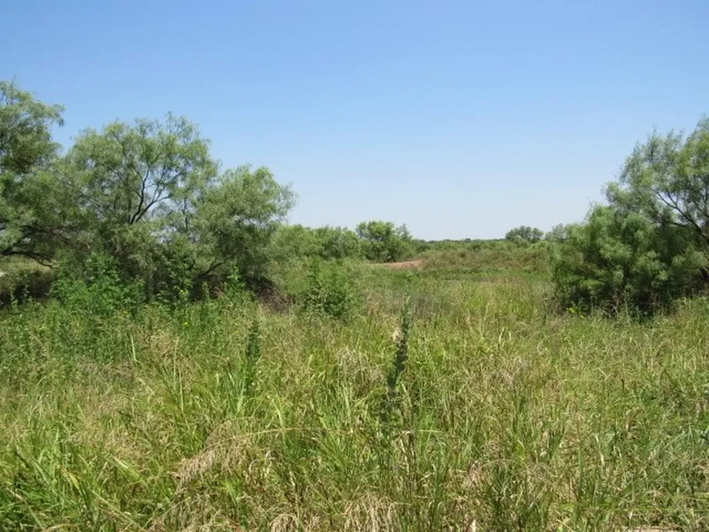 Tbd County Road 211 Brookesmith TX 76827
