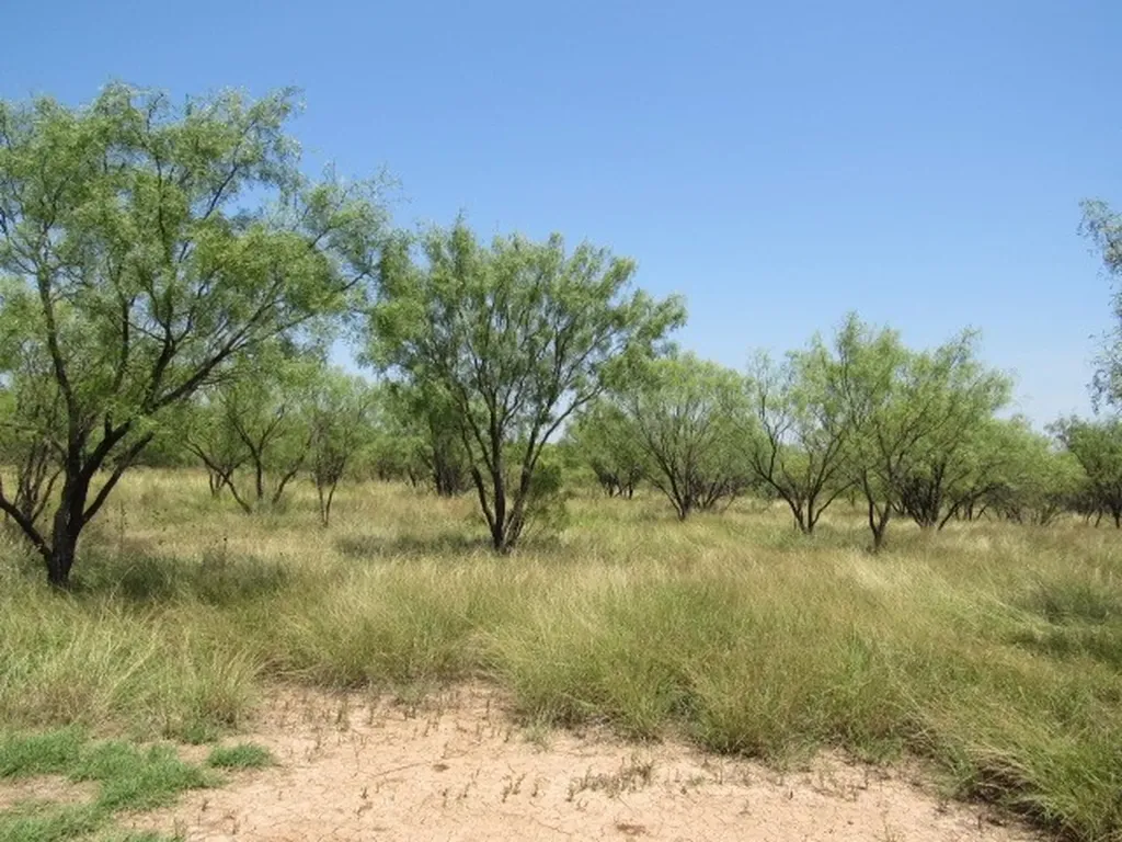 Tbd County Road 211 Brookesmith TX 76827