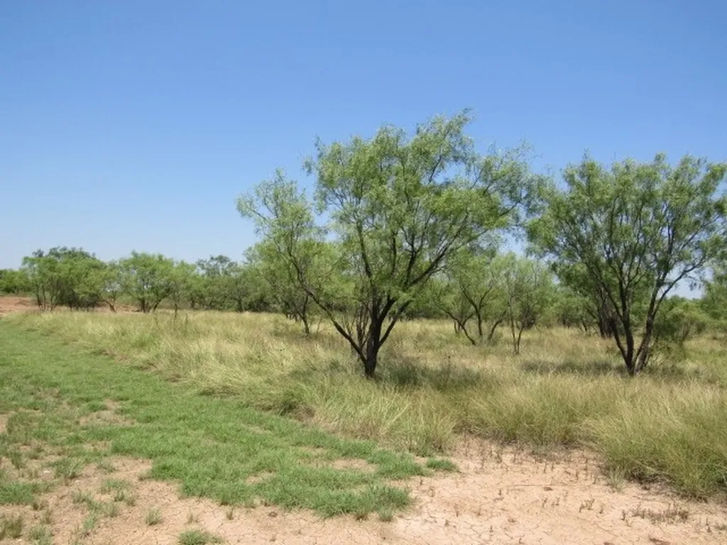 Tbd County Road 211 Brookesmith TX 76827
