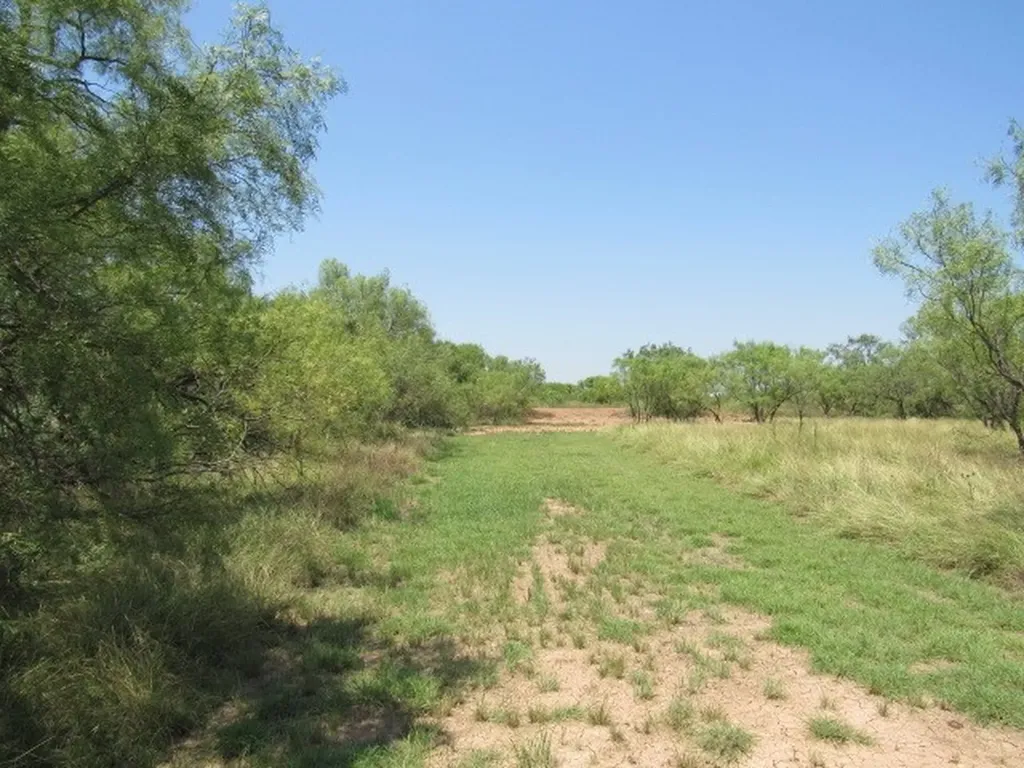 Tbd County Road 211 Brookesmith TX 76827