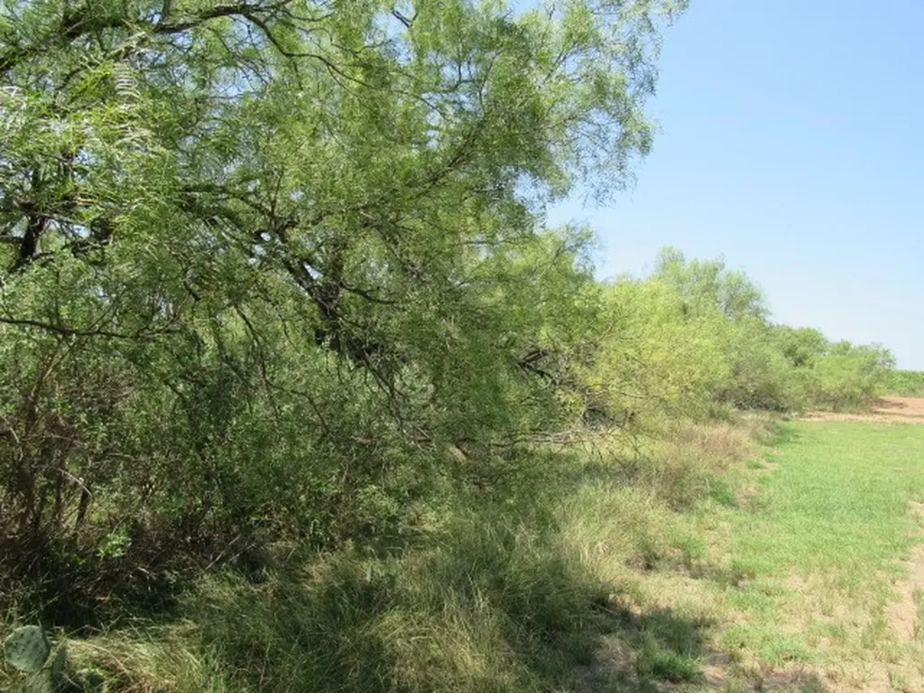 Tbd County Road 211 Brookesmith TX 76827