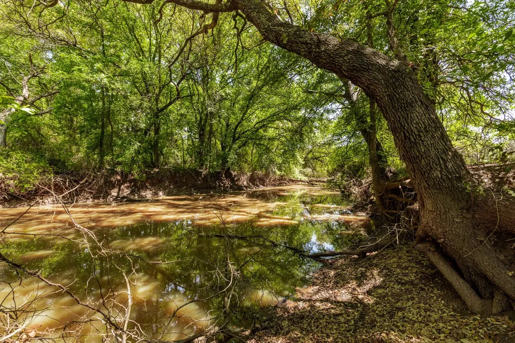 Tbd County Road 120 Coleman TX 76834
