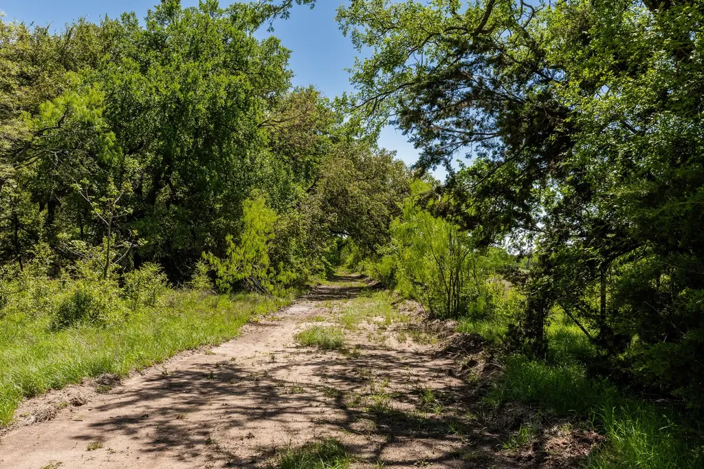Tbd County Road 120 Coleman TX 76834