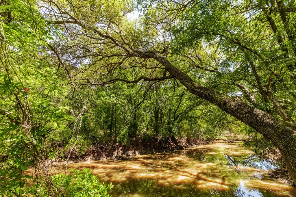 Tbd County Road 120 Coleman TX 76834