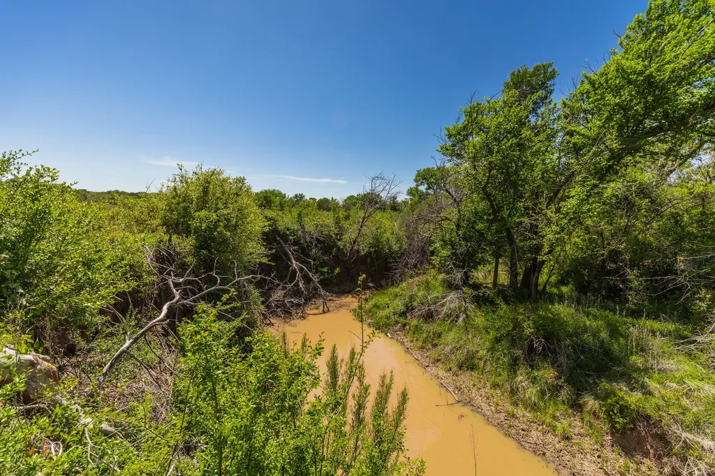 Tbd County Road 120 Coleman TX 76834
