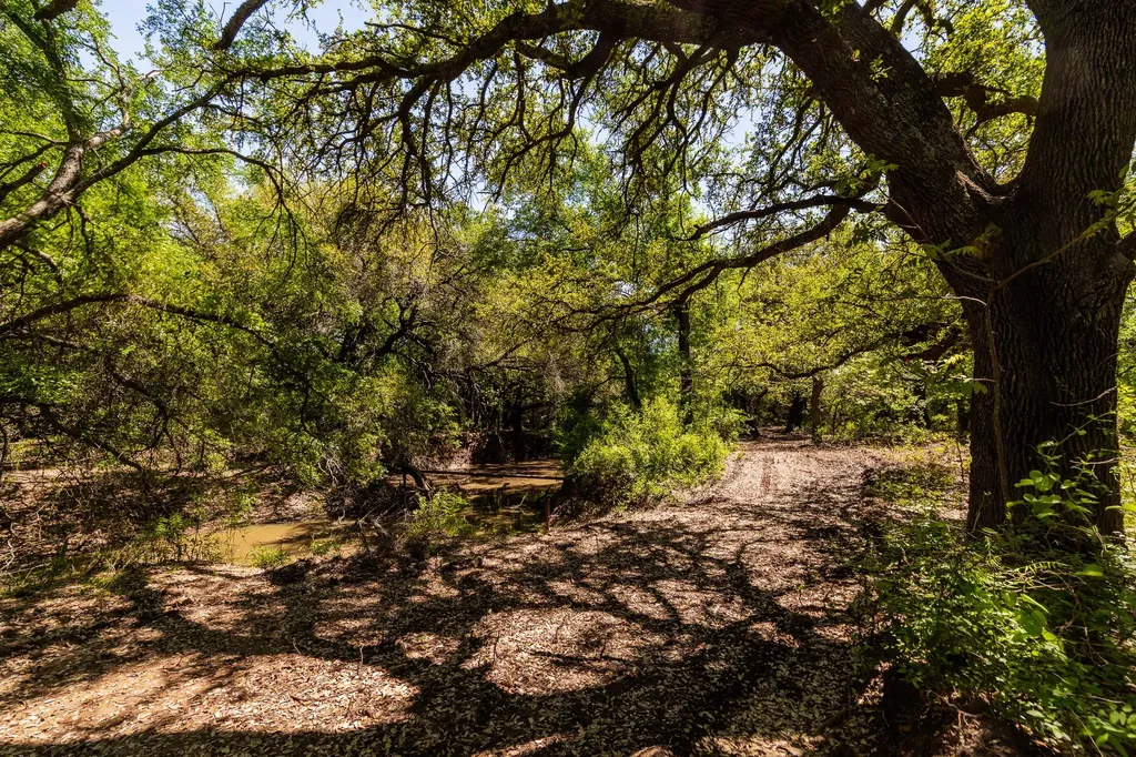 Tbd County Road 120 Coleman TX 76834