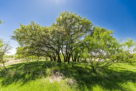 Tbd County Road 120 Coleman TX 76834