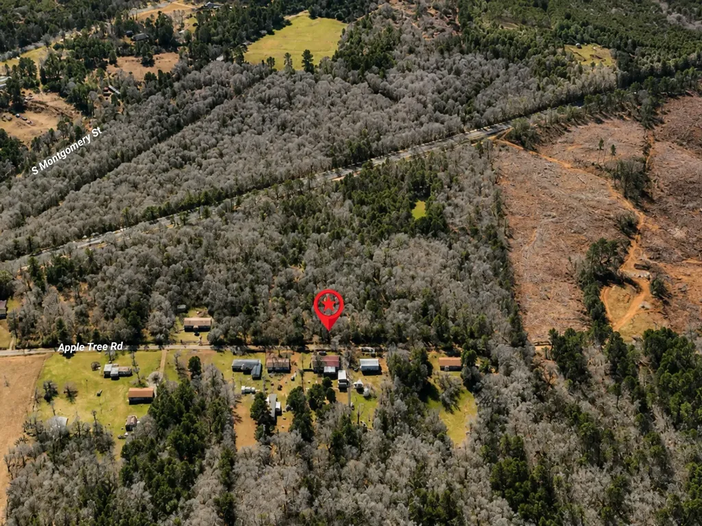 Tbd Apple Tree Road Gilmer TX 75644