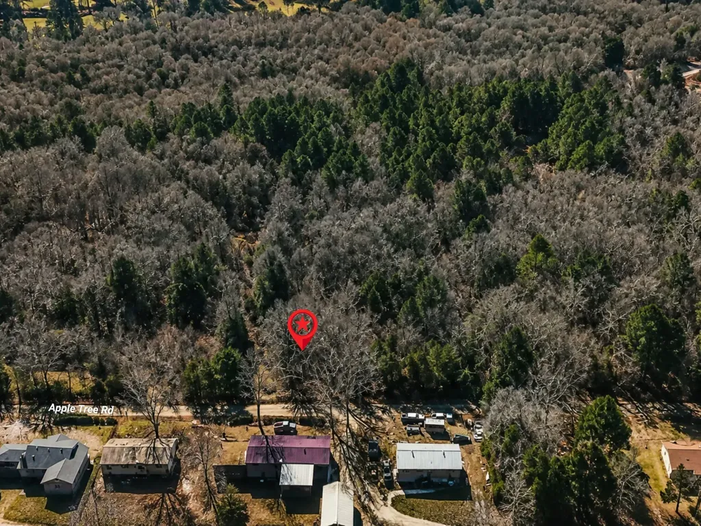 Tbd Apple Tree Road Gilmer TX 75644