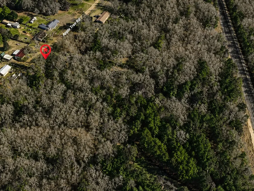 Tbd Apple Tree Road Gilmer TX 75644
