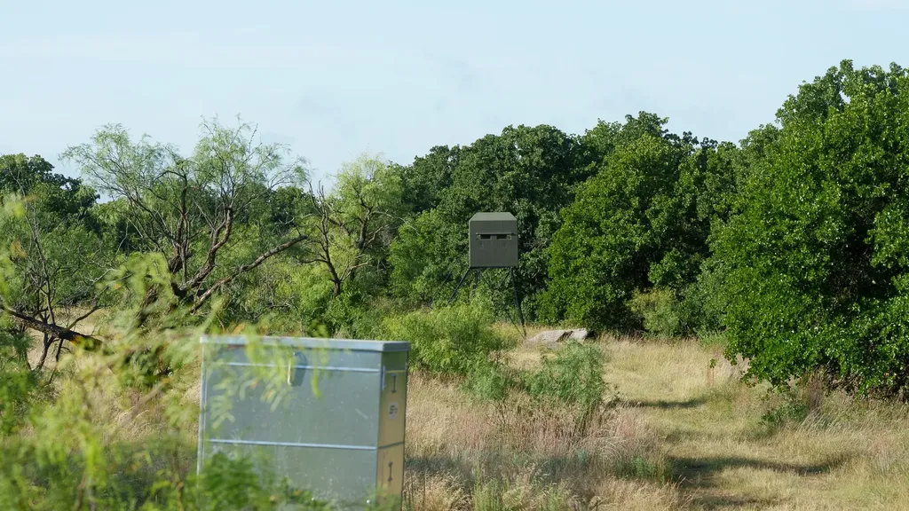 13100 Us 281 North Jacksboro TX 76458