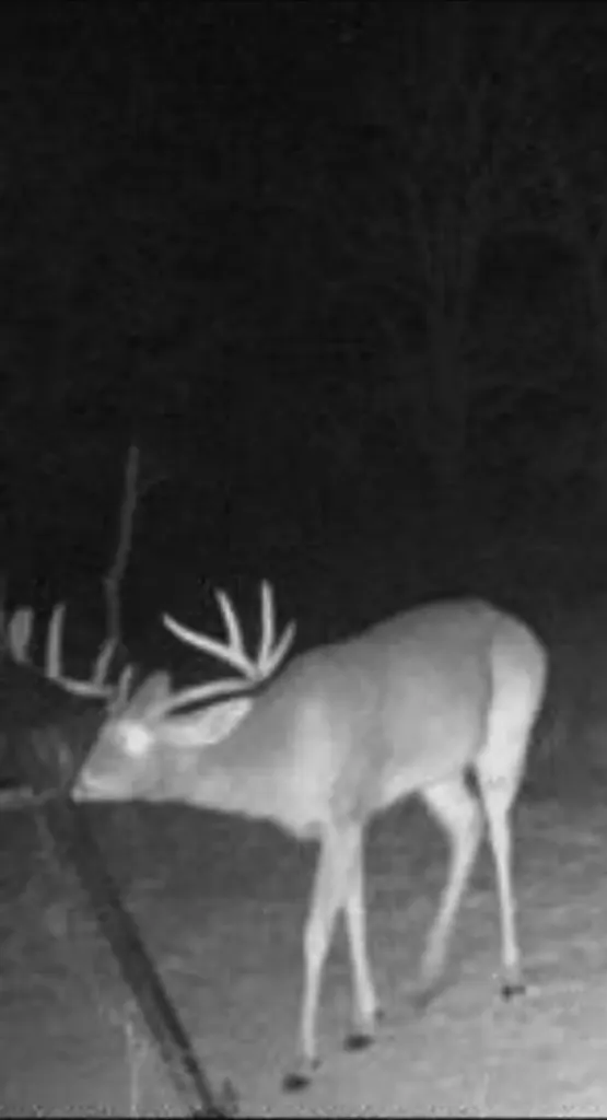 13100 Us 281 North Jacksboro TX 76458