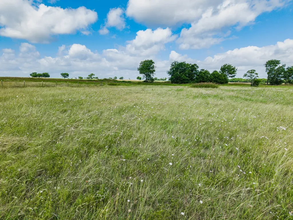 295 Turkey Run Road Crawford TX 76638