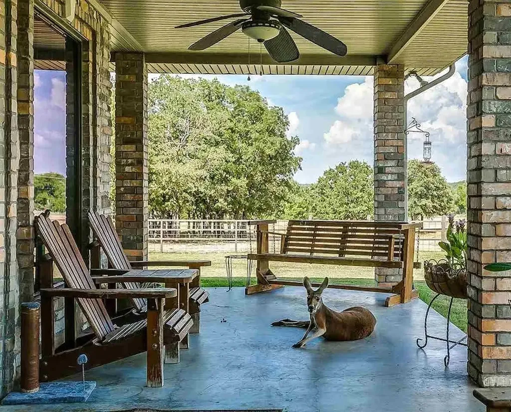 499 Ford Road Bowie TX 76230