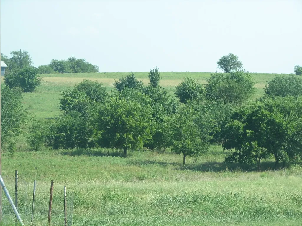 389 Hilltop Trail New Fairview TX 76078