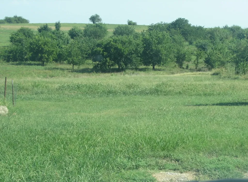 389 Hilltop Trail New Fairview TX 76078