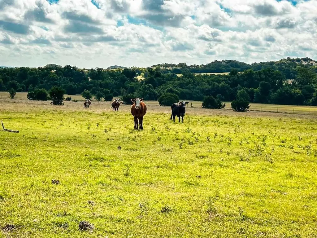 Tbd Fm 116 Gatesville TX 76528