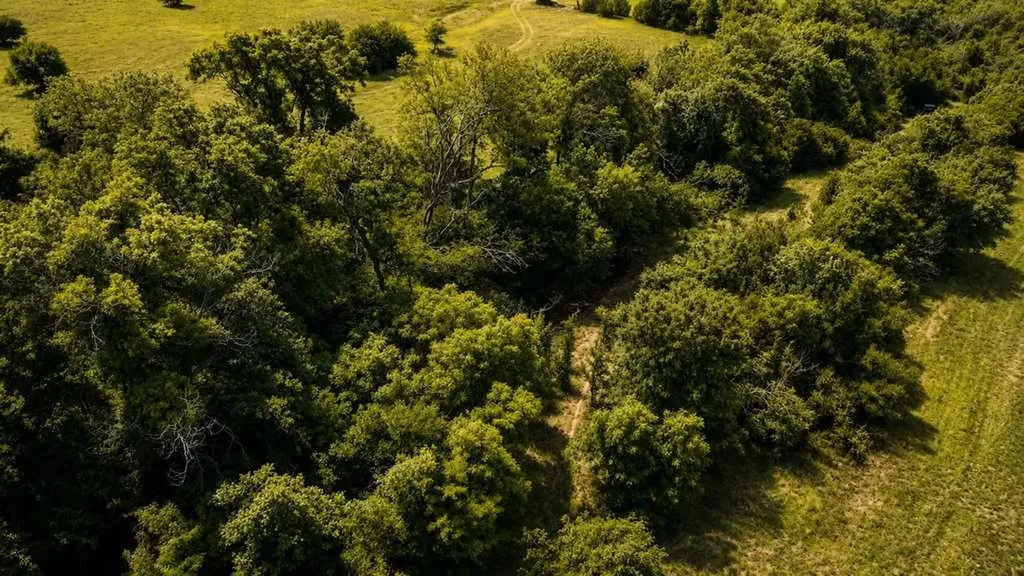 2455 Fm 116 Gatesville TX 76528