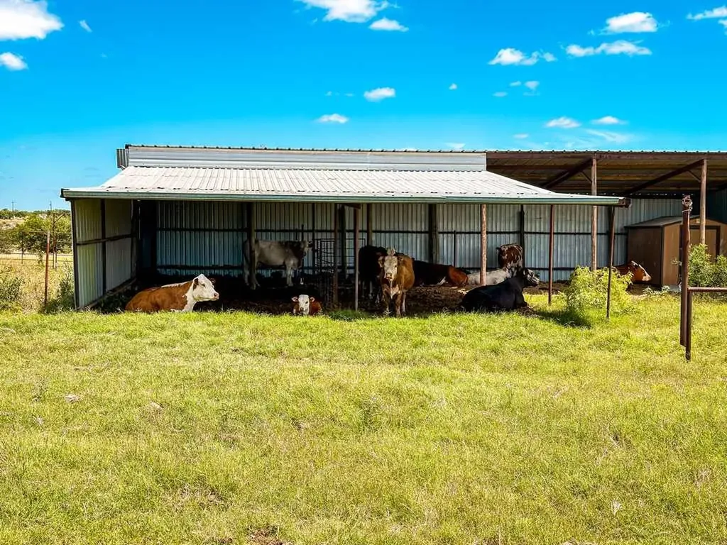 Tbd Fm 116 Gatesville TX 76528