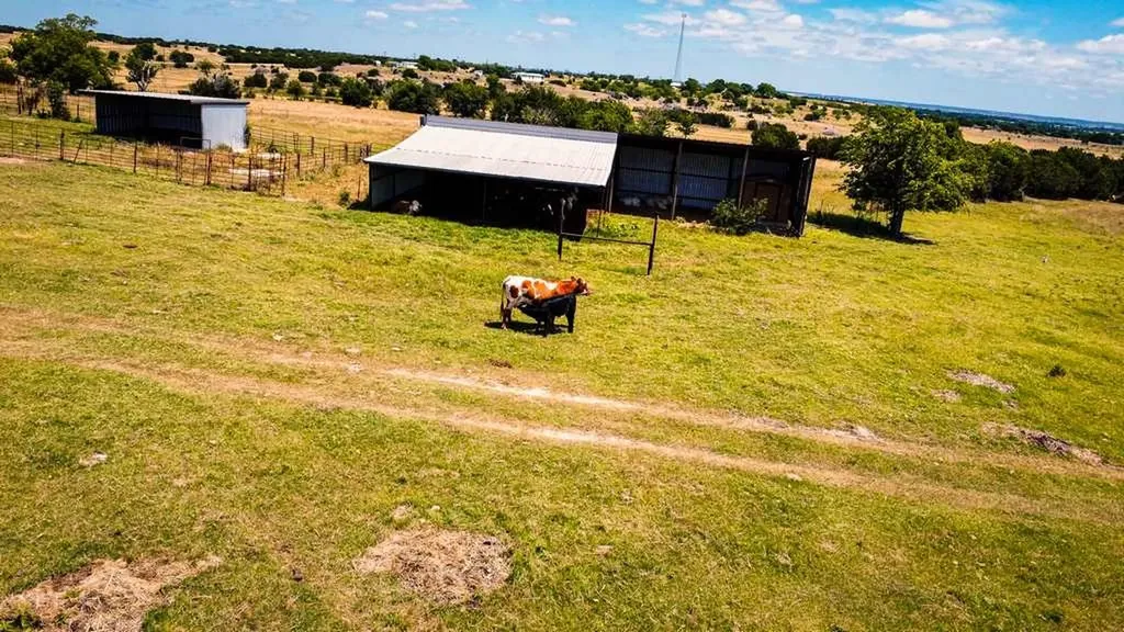 Tbd Fm 116 Gatesville TX 76528