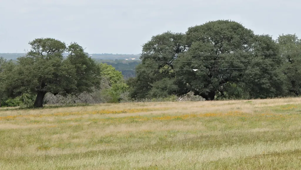 Tbd County Road 407 Glen Rose TX 76043