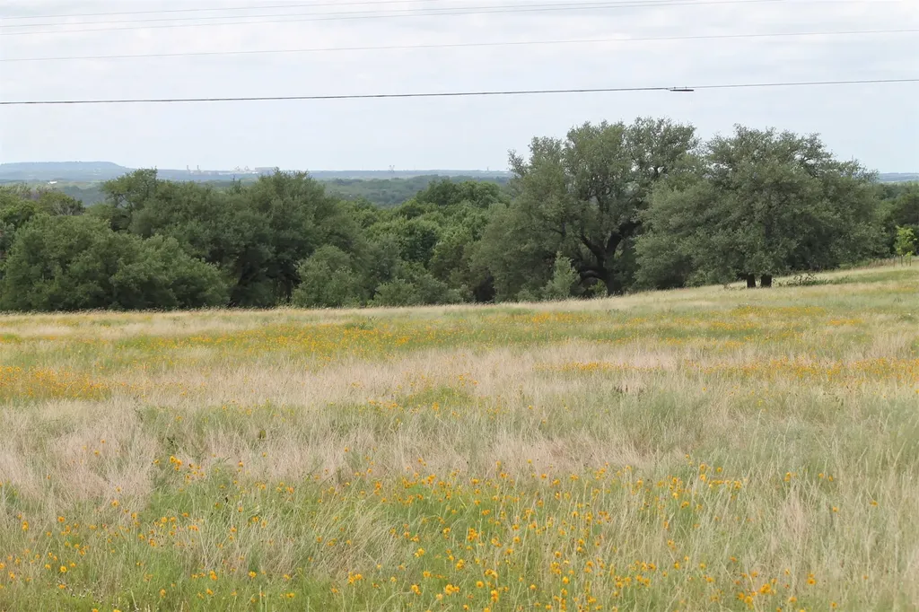 Tbd County Road 407 Glen Rose TX 76043