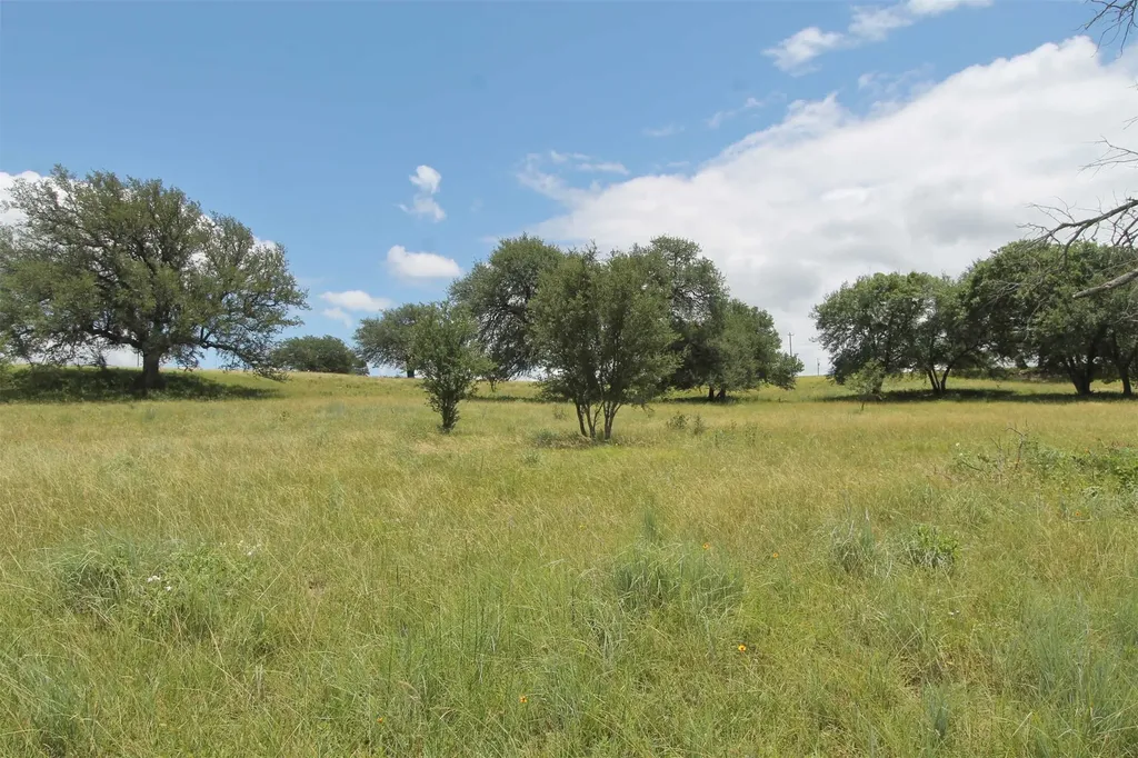 Tbd County Road 407 Glen Rose TX 76043