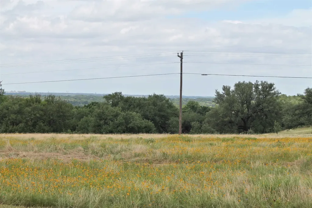 Tbd County Road 407 Glen Rose TX 76043