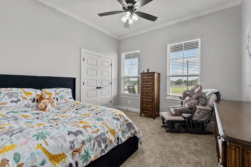 204 Zebrastone Way Poolville TX 76487