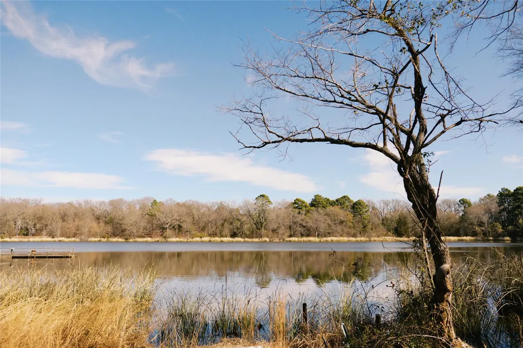 Tbd Lot 3 County Road 2200 Mineola TX 75773