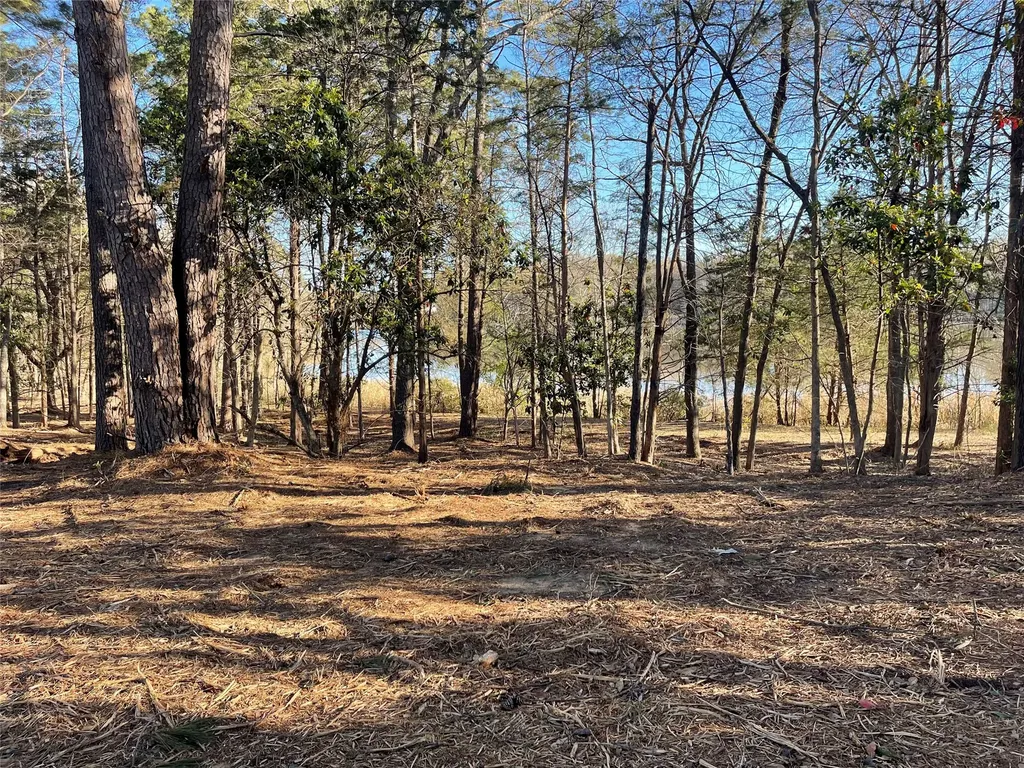Tbd Lot 3 County Road 2200 Mineola TX 75773