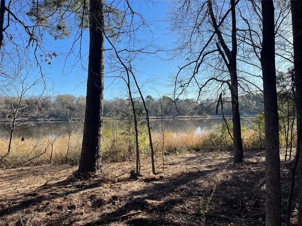 Tbd Lot 3 County Road 2200 Mineola TX 75773