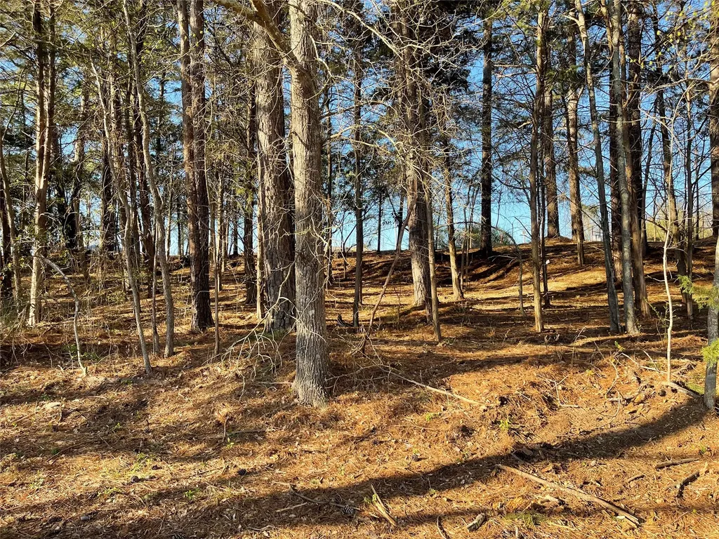 Tbd Lot 3 County Road 2200 Mineola TX 75773