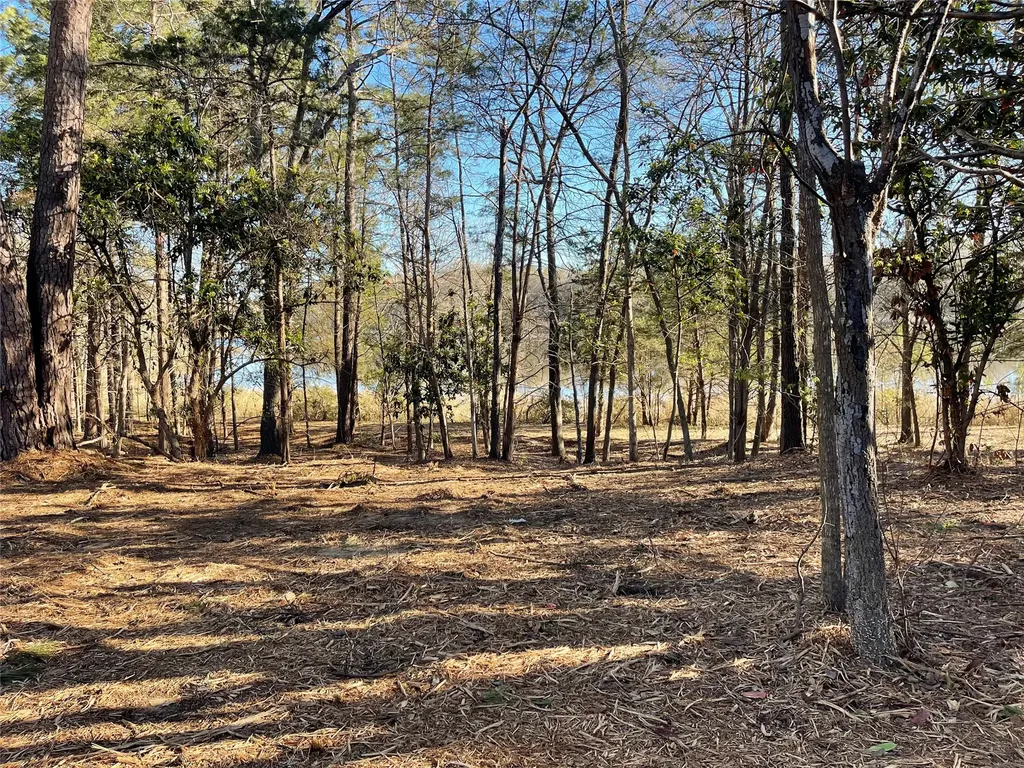 Tbd Lot 3 County Road 2200 Mineola TX 75773