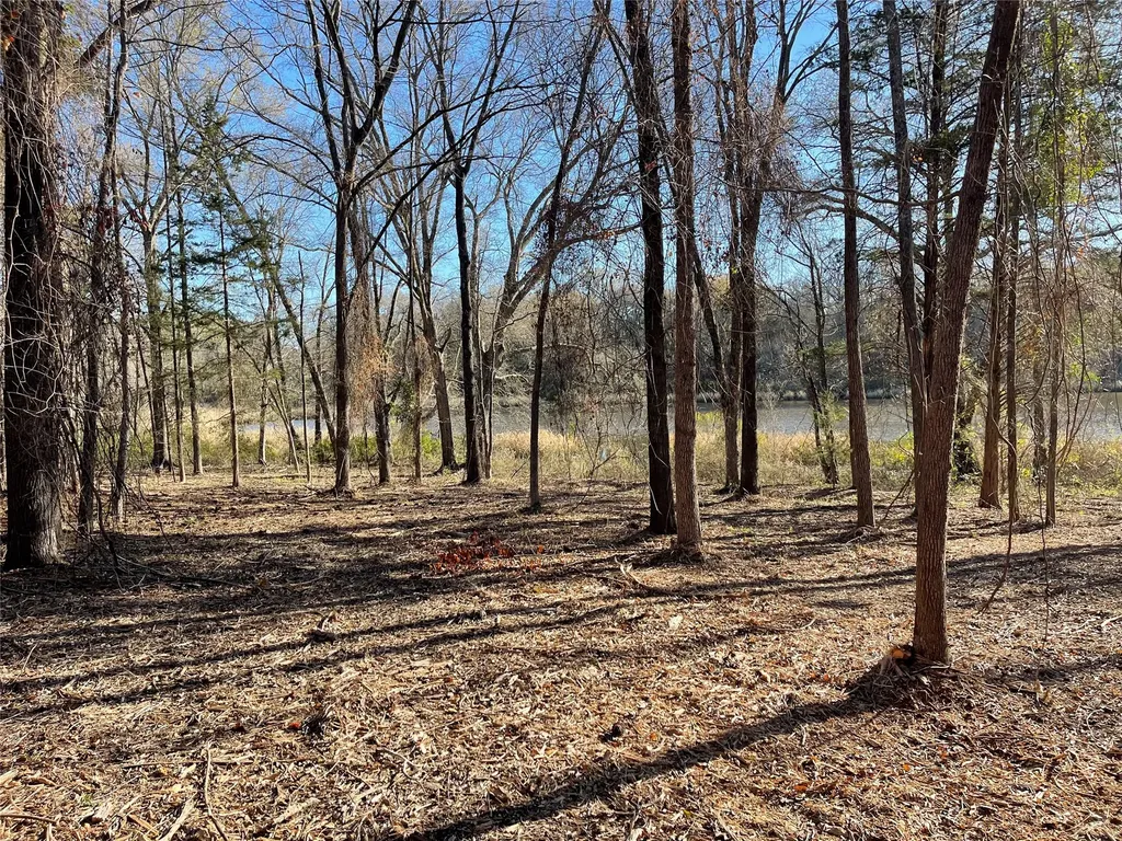Tbd Lot 3 County Road 2200 Mineola TX 75773
