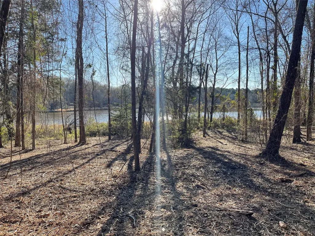 Tbd Lot 3 County Road 2200 Mineola TX 75773