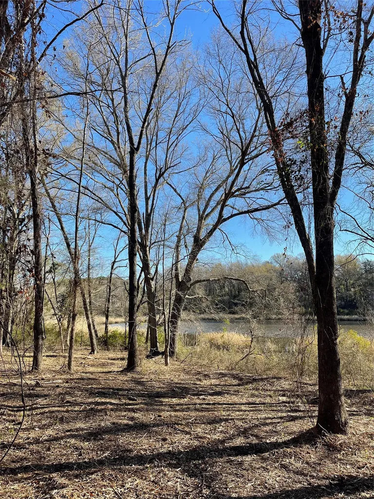 Tbd Lot 3 County Road 2200 Mineola TX 75773