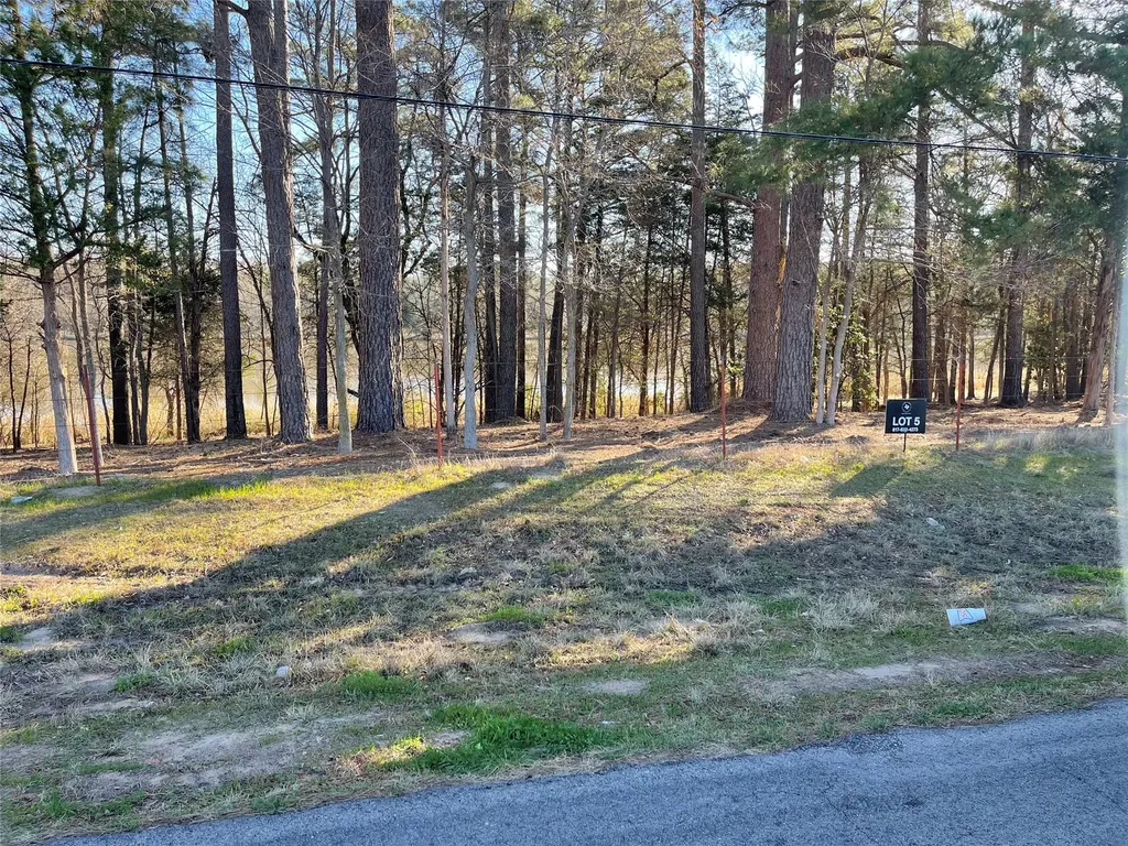 Tbd Lot 3 County Road 2200 Mineola TX 75773