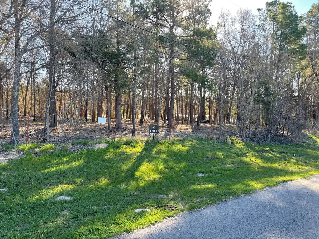 Tbd Lot 3 County Road 2200 Mineola TX 75773