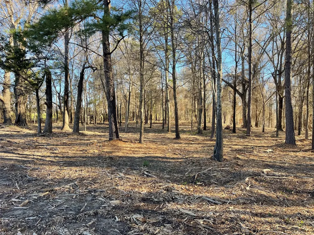 Tbd Lot 3 County Road 2200 Mineola TX 75773