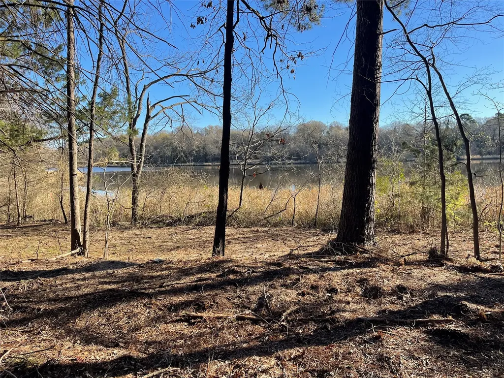 Tbd Lot 3 County Road 2200 Mineola TX 75773