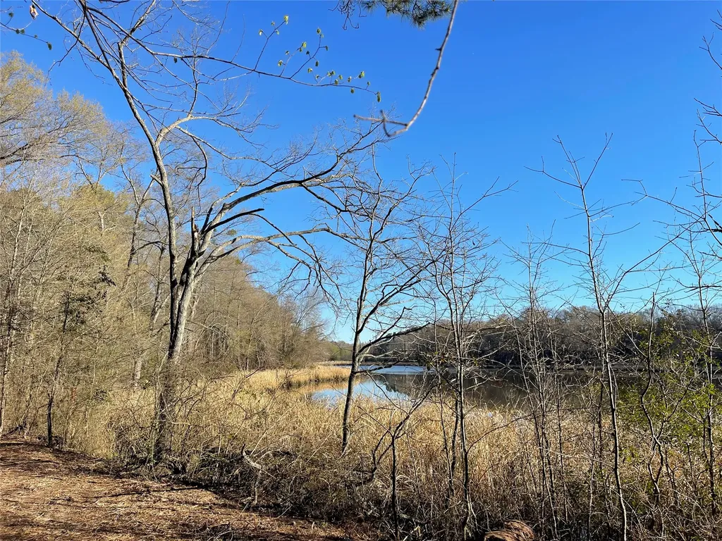 Tbd Lot 3 County Road 2200 Mineola TX 75773