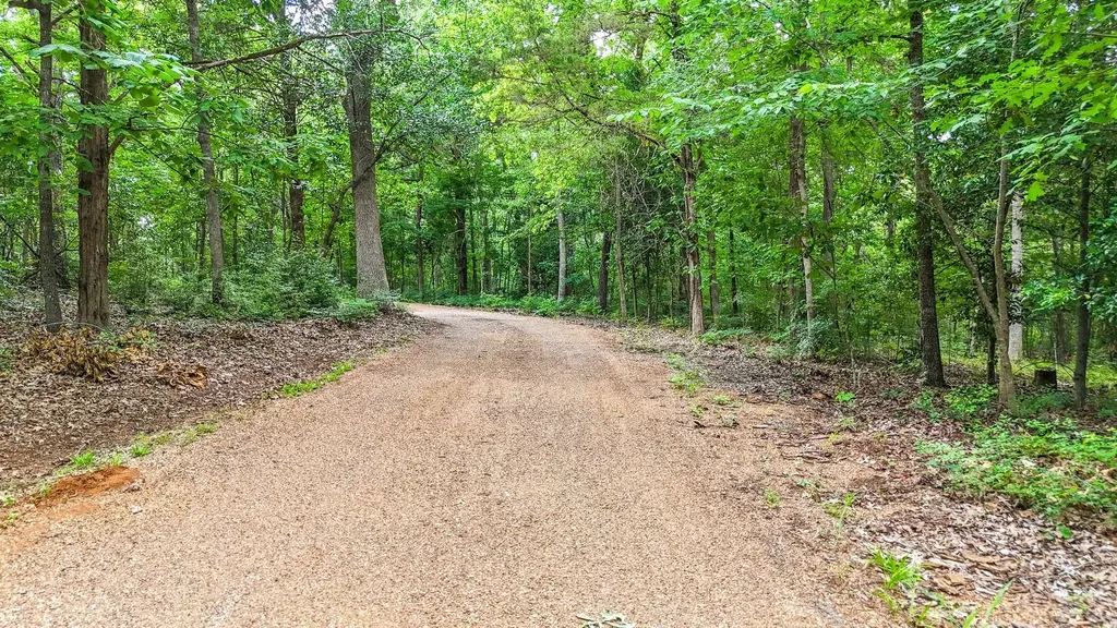 1749 E Us Highway 84 Palestine TX 75801