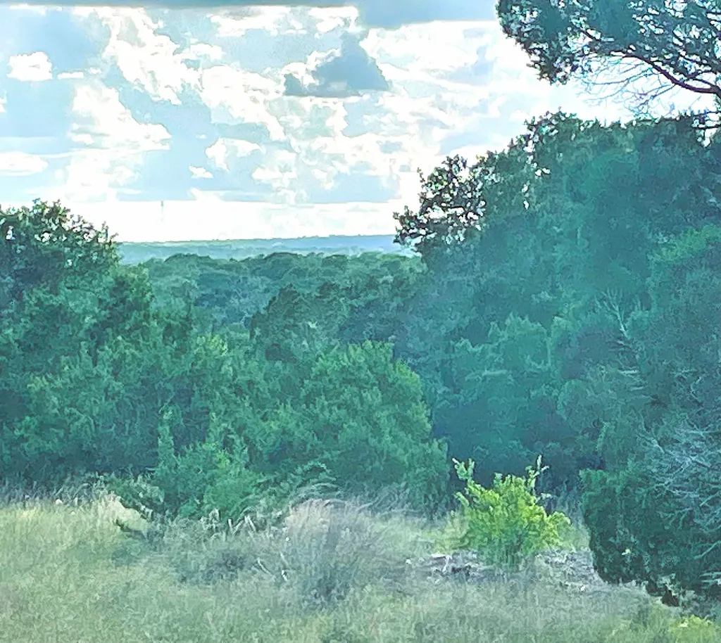 Tbd Lot 16 Ph 5 Evant TX 76525