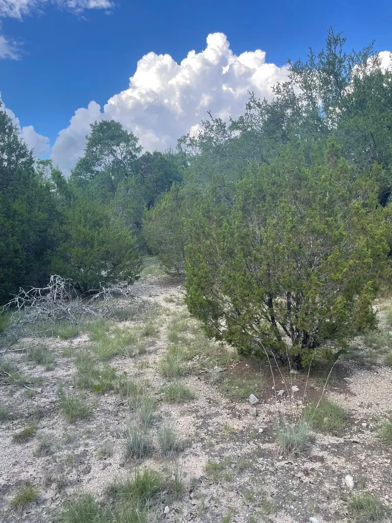 Tbd Lot 16 Ph 5 Evant TX 76525