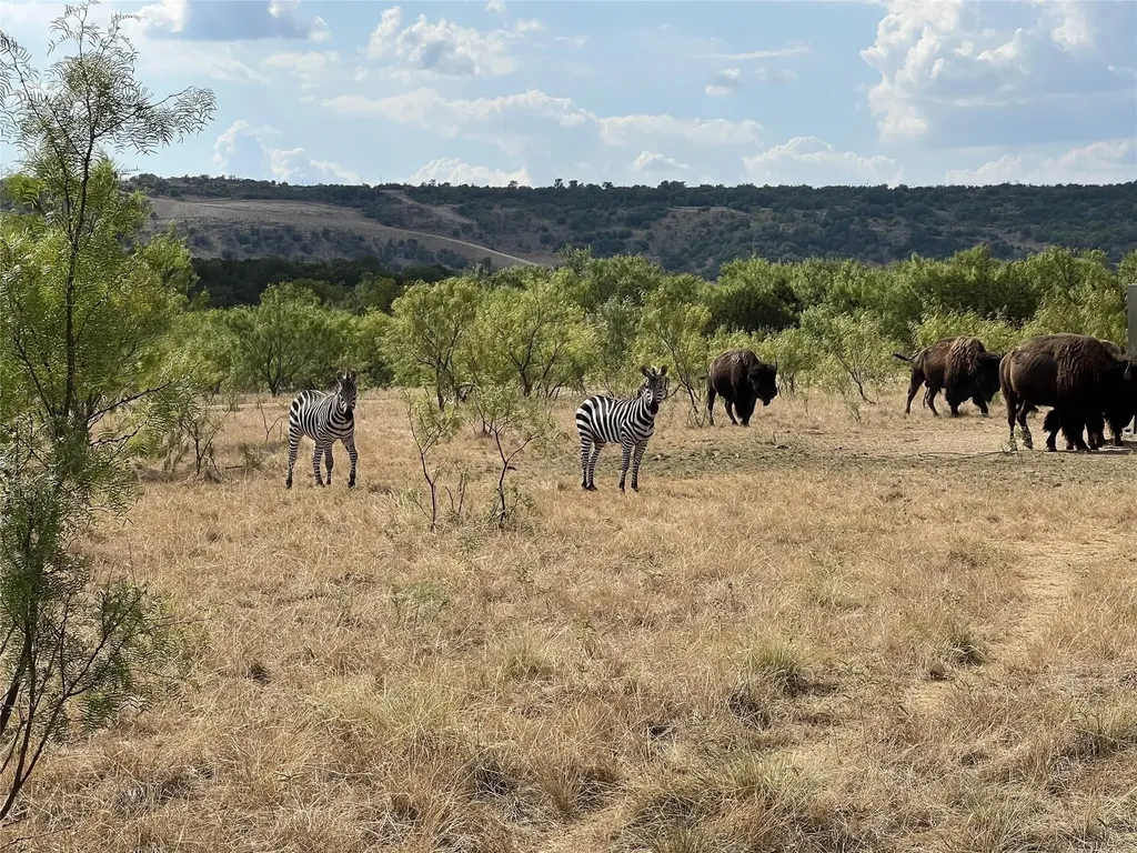 Lot 30 Tbd Bigfoot Road Strawn TX 76475